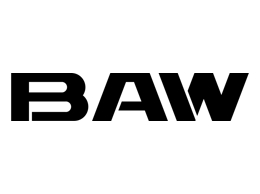 Товары для авто марки BAW